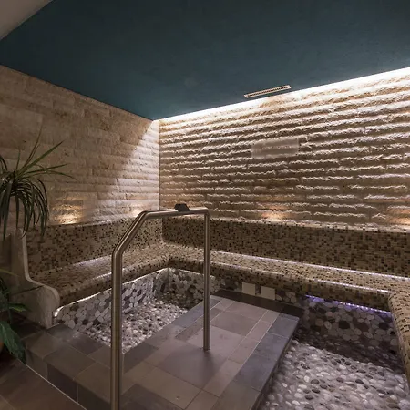 Hotel Mountain Plaza 4*