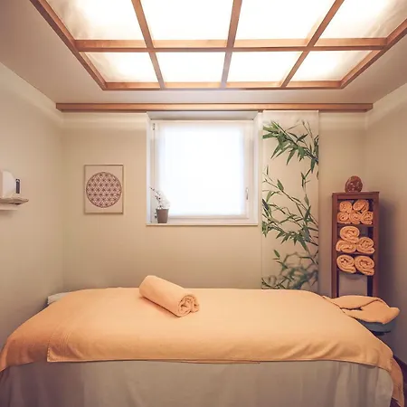 Hotel Mountain Plaza Davos