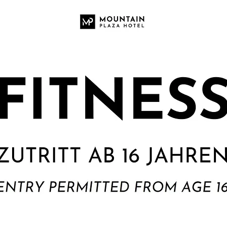 Mountain Plaza Hotel 4*