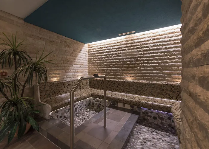 Hotel Mountain Plaza 4*